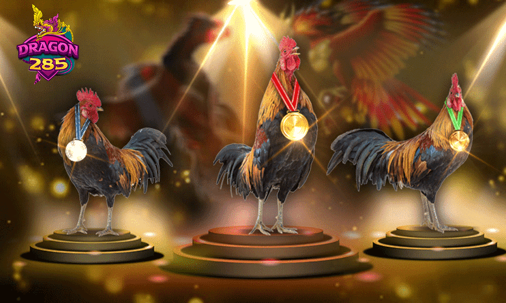 เปรียบเทียบไก่ชนออนไลน์ vs ไก่ชนสนามจริง แบบไหนดีกว่า?